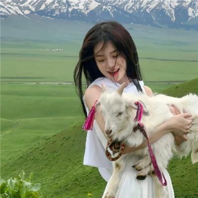 周游记第二季 海报
