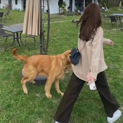 看了又看 海报